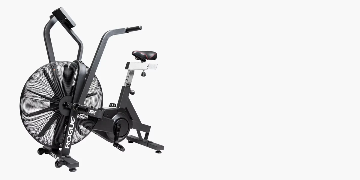 Rogue Echo 3 Bike for Weight Loss